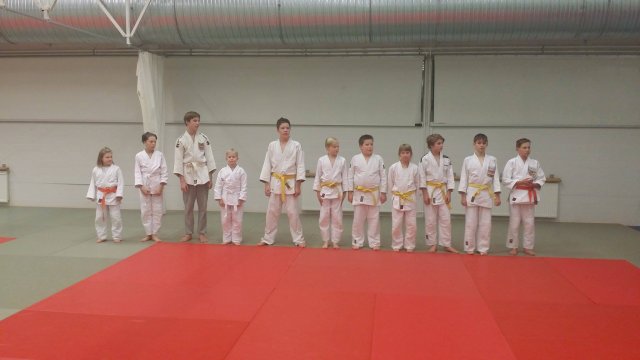 Kotisalikisat Iisalmessa, tulokset