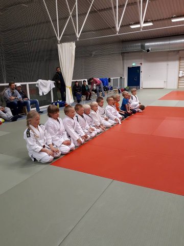 Kuvia alueleiriltä Iisalmesta